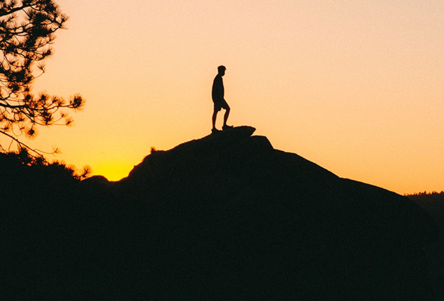 Hiker at the summit.