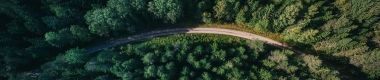 Aerial view of a forest with a road winding through the middle